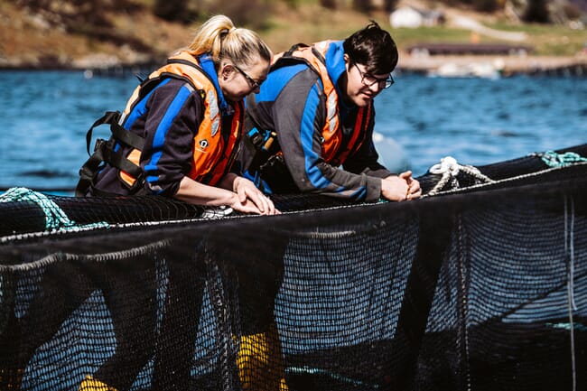 two people looking into a fish pen