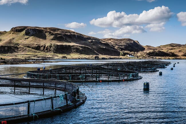 Charlotte's Bay salmon farm in Oban, Scotland