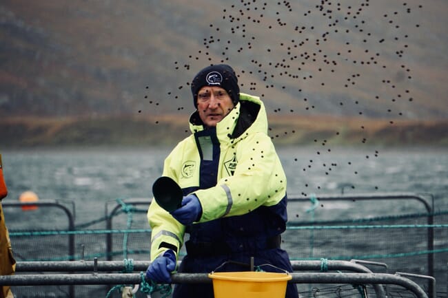 man throwing aquafeed into a fish pen