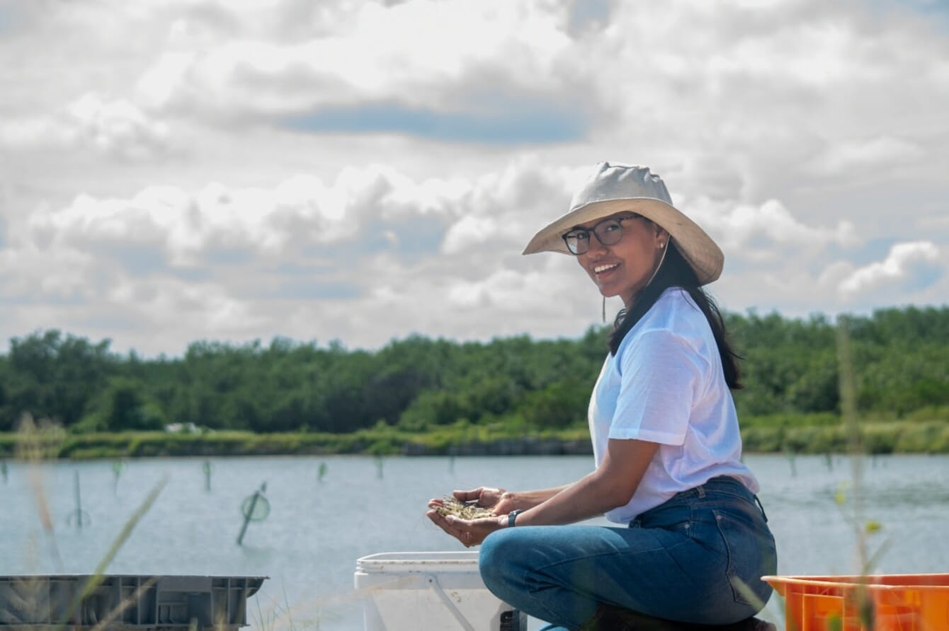A women shrimp farmer holding a shrimp by her ponds.