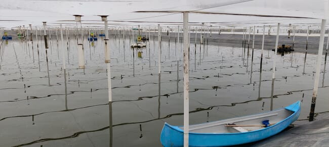 A covered pond, with a boat on it.