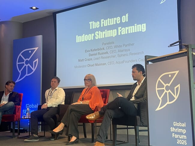 A panel discussion taking place on a stage.