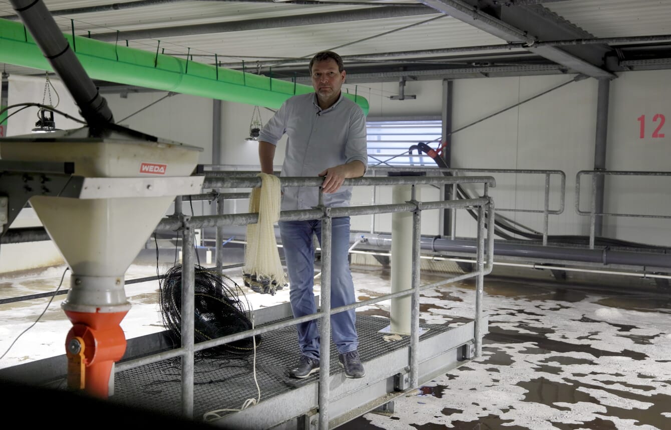 The founder of a RAS shrimp farm in Germany above the tanks.