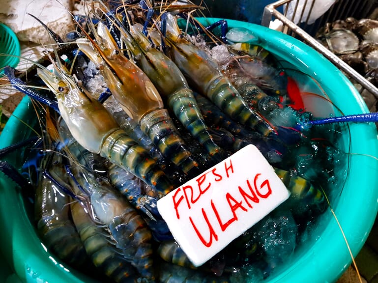 Giant river prawns a fresh approach for global shrimp farming? The