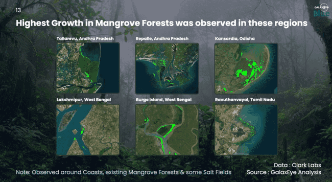 Satellite images of mangroves.