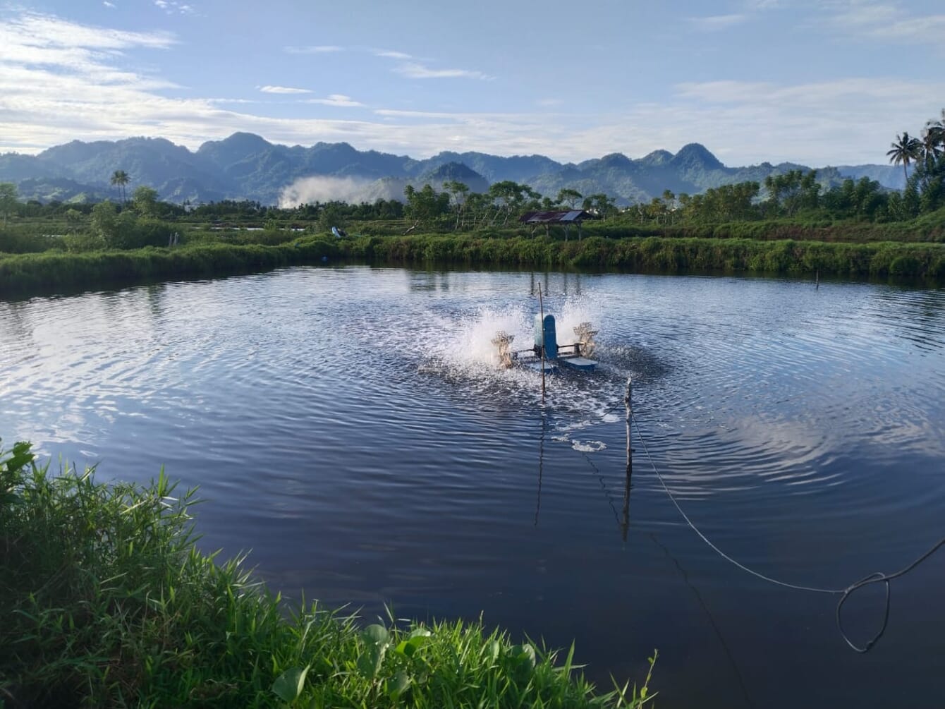 A picturesque shrimp pond surrounded by trees and mountains.