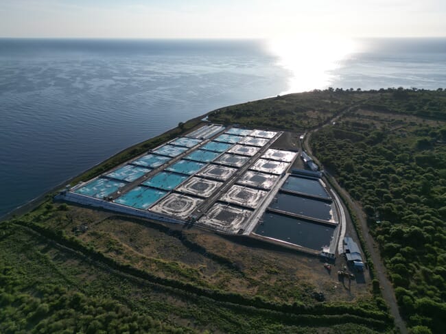 Aerial view of a shrimp farm.