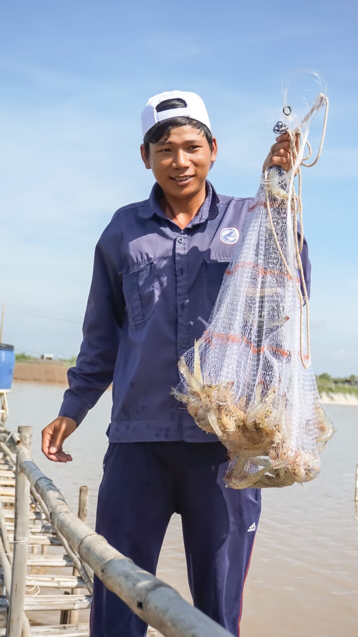 person holding shrimp in a net