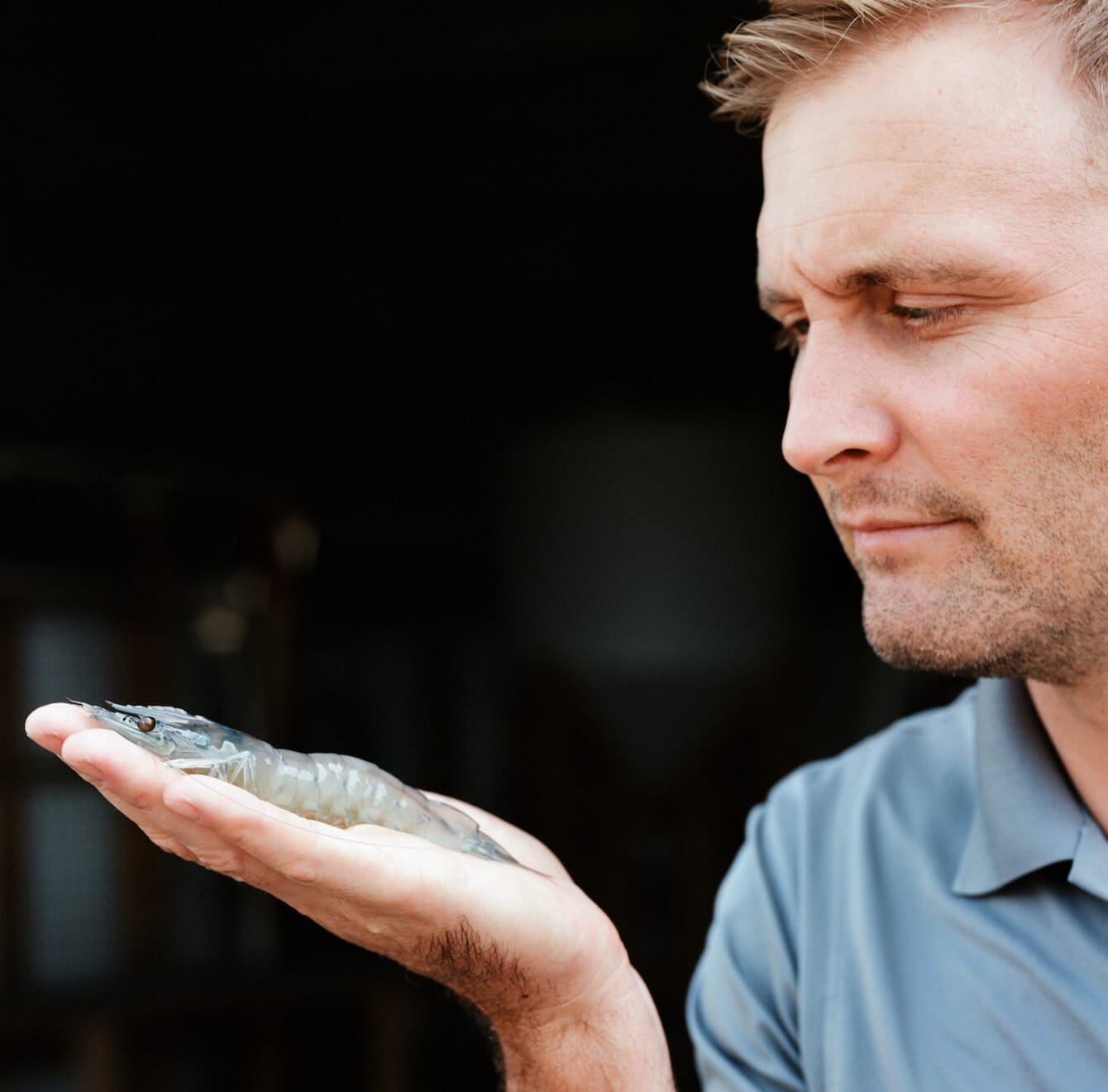 Steve Sutton holding a shrimp.