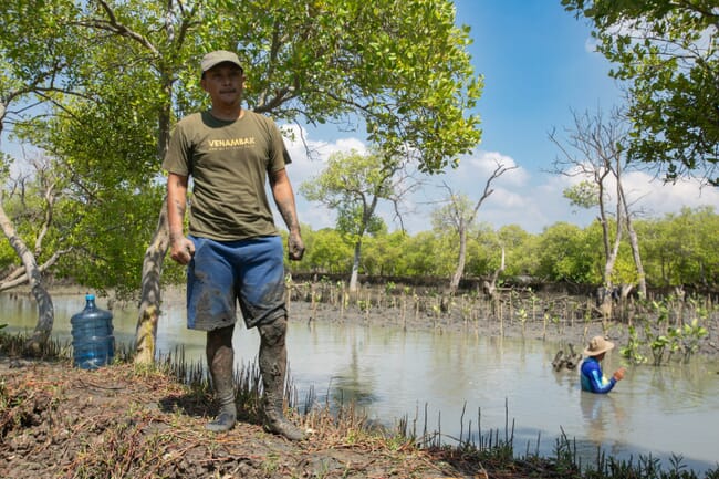 Venambak CEO Achmad Jerry in front of a mangrove.