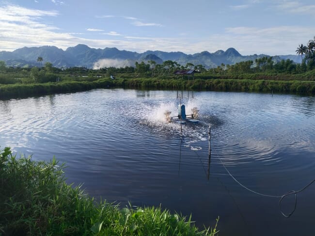 A shrimp pond aerator.