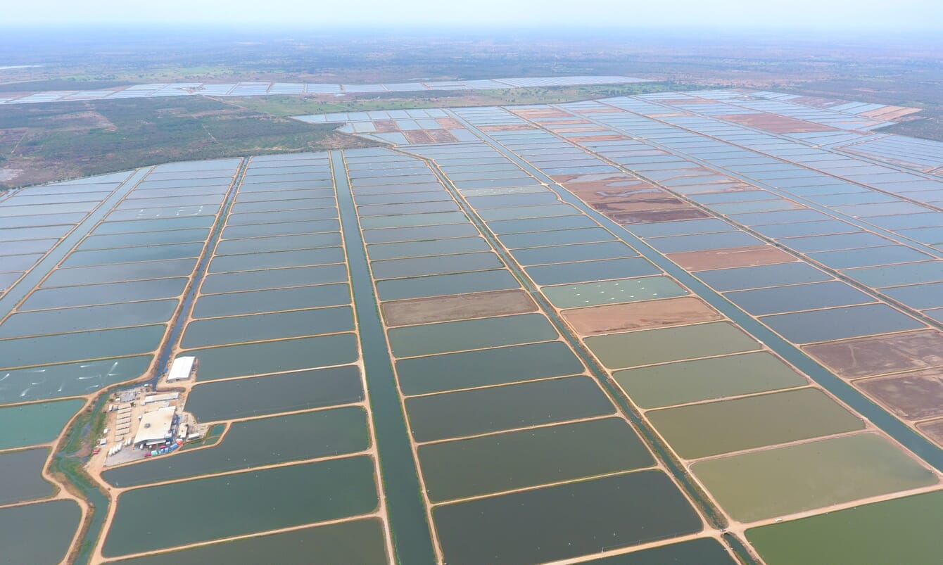 Aerial of shrimp farm in Venezuela