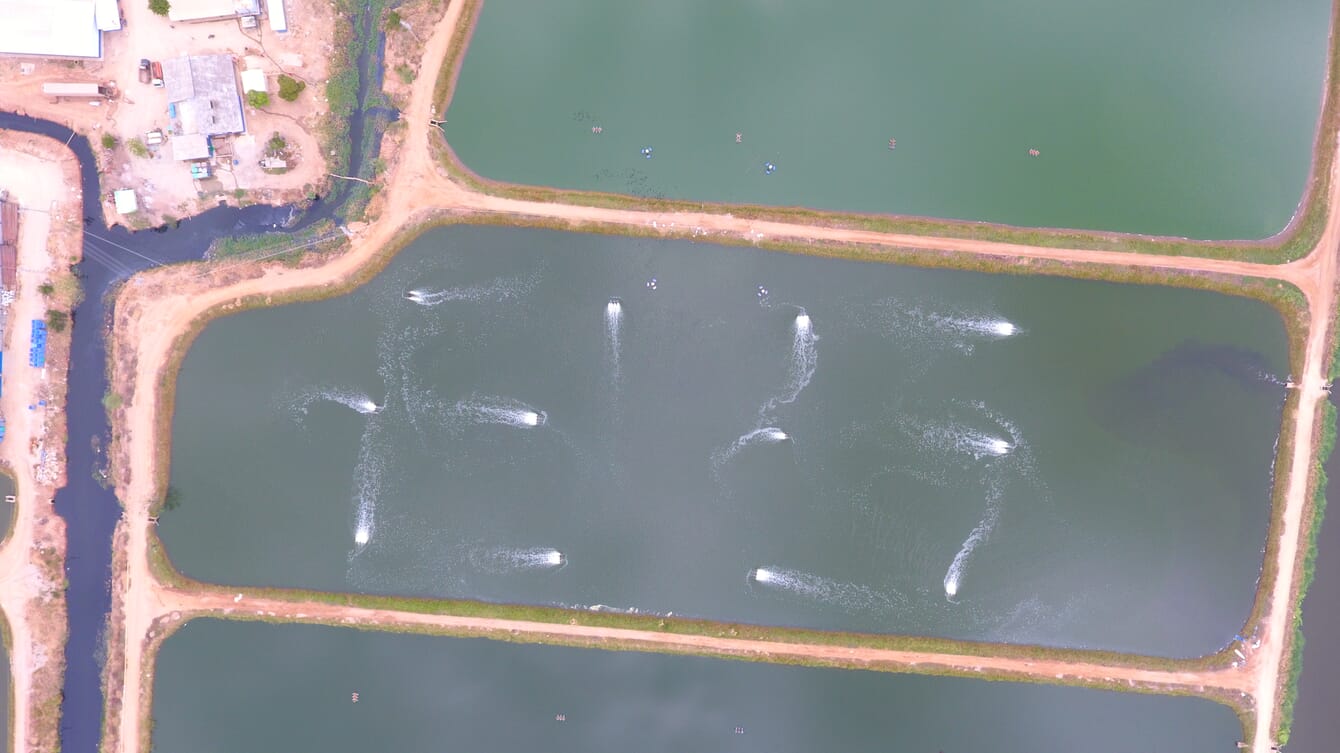 Aerial of shrimp farm in Venezuela