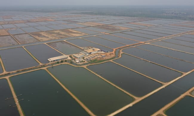 Aerial of shrimp farm in Venezuela