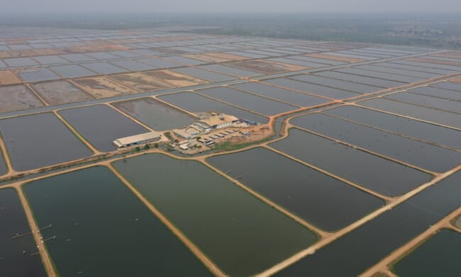 Aérea de uma fazenda de camarão na Venezuela