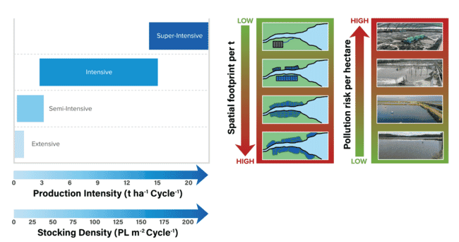 un diagrama científico