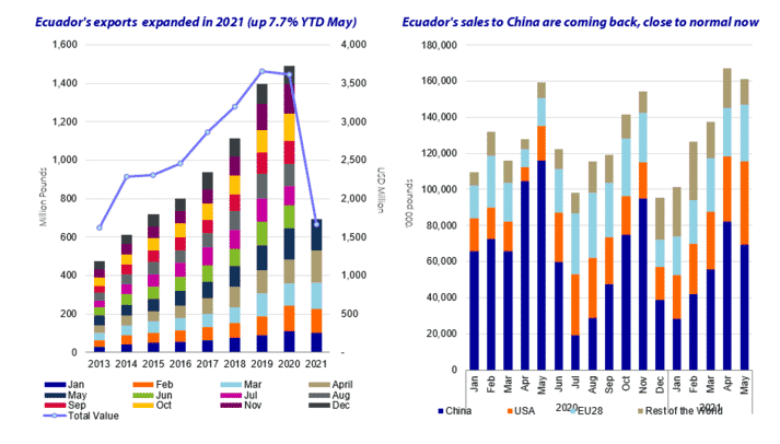 Ecuador's shrimp exports have increased by 7.7 percent, although they have not yet returned to pre-pandemic levels in China (click on image to enlarge)