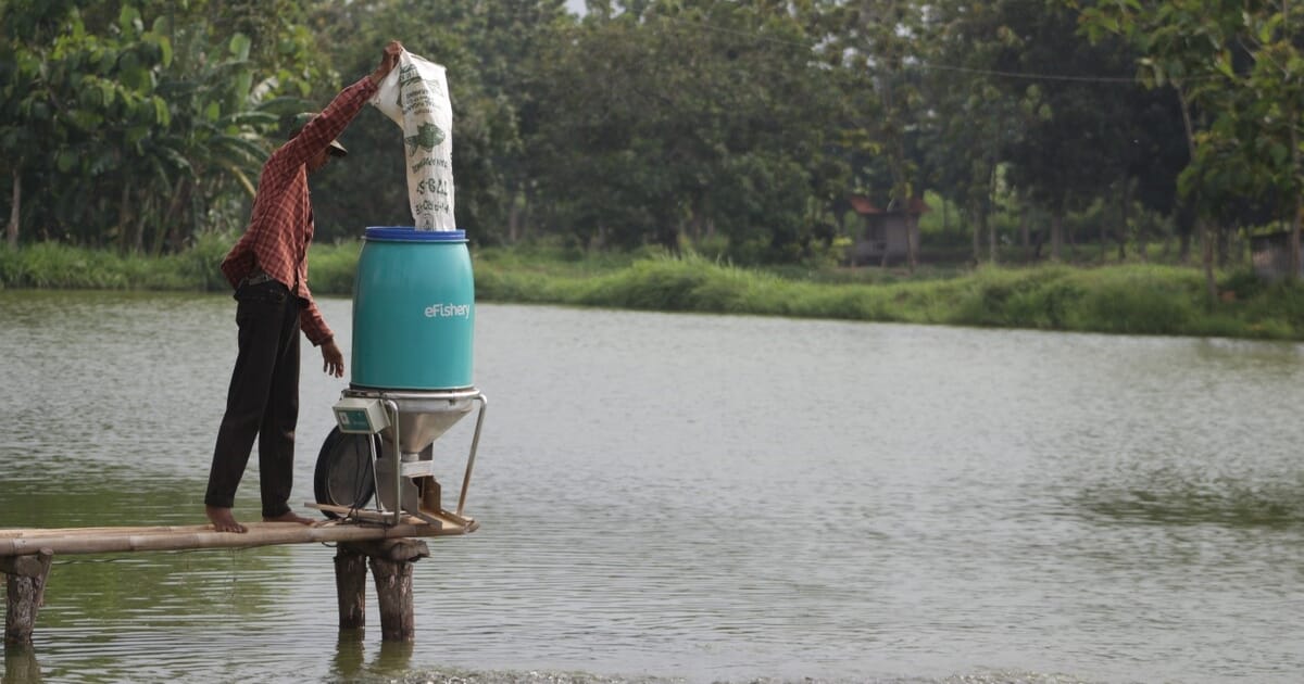 eFishery's Founders Suspended Amid Financial Investigation: What It Means for the Startup's Future