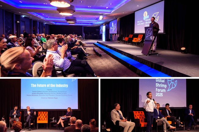 A collage of three photos taken at the global shrimp forum closing plenary.