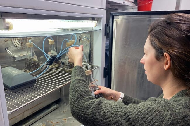 A researcher tests water samples.