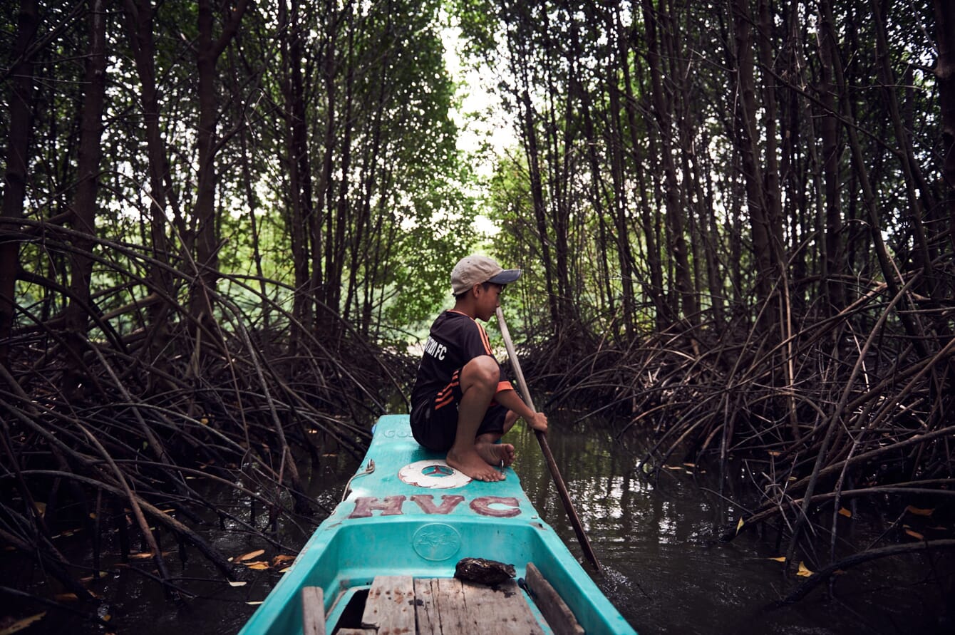 A man in a wooden boat in a mangrove forest.