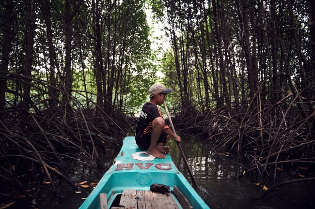 person taking a canoe through mangroves