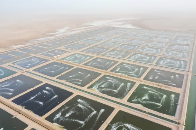 aerial view of shrimp ponds