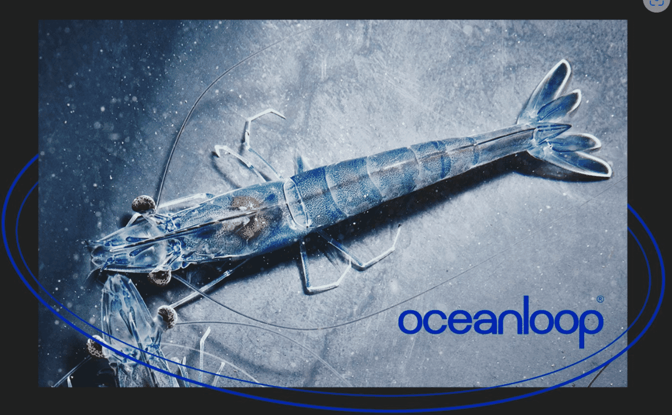 Oceanloop's logo