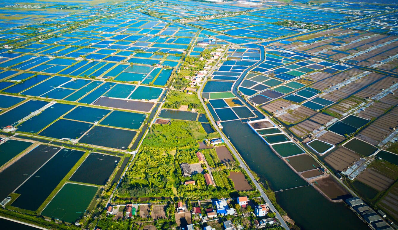 Aerial of shrimp ponds in Vietnam
