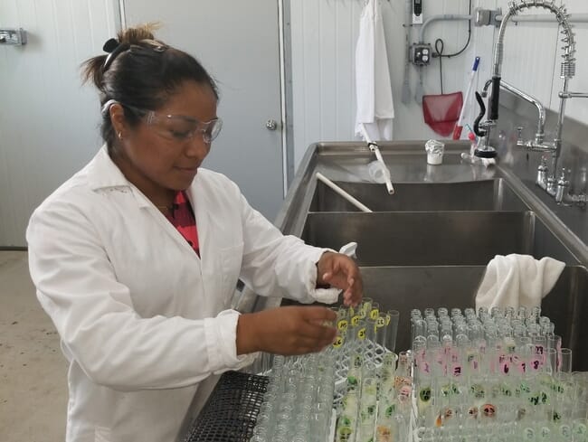 researcher with test tubes