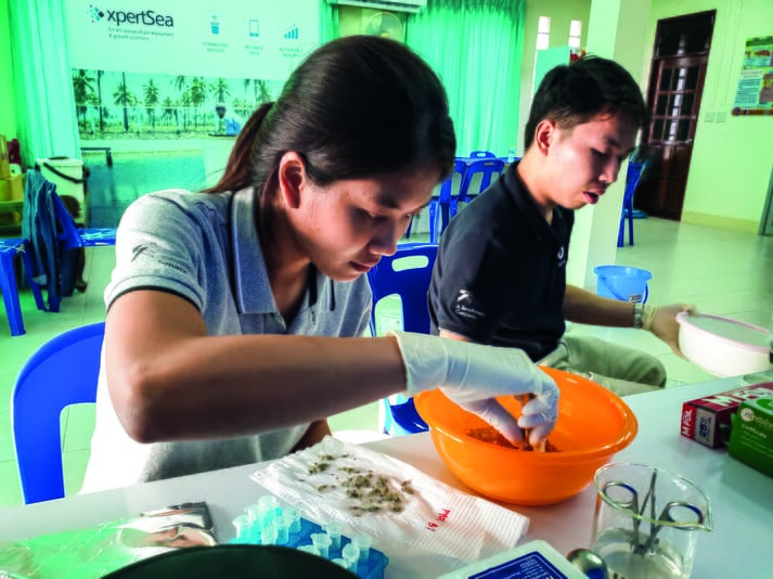 Woman examining shrimp in a lab