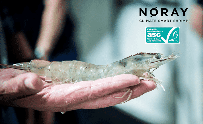 Noray Seafood, which produces shrimp in a land-based facility in Spain, has gained ASC certification