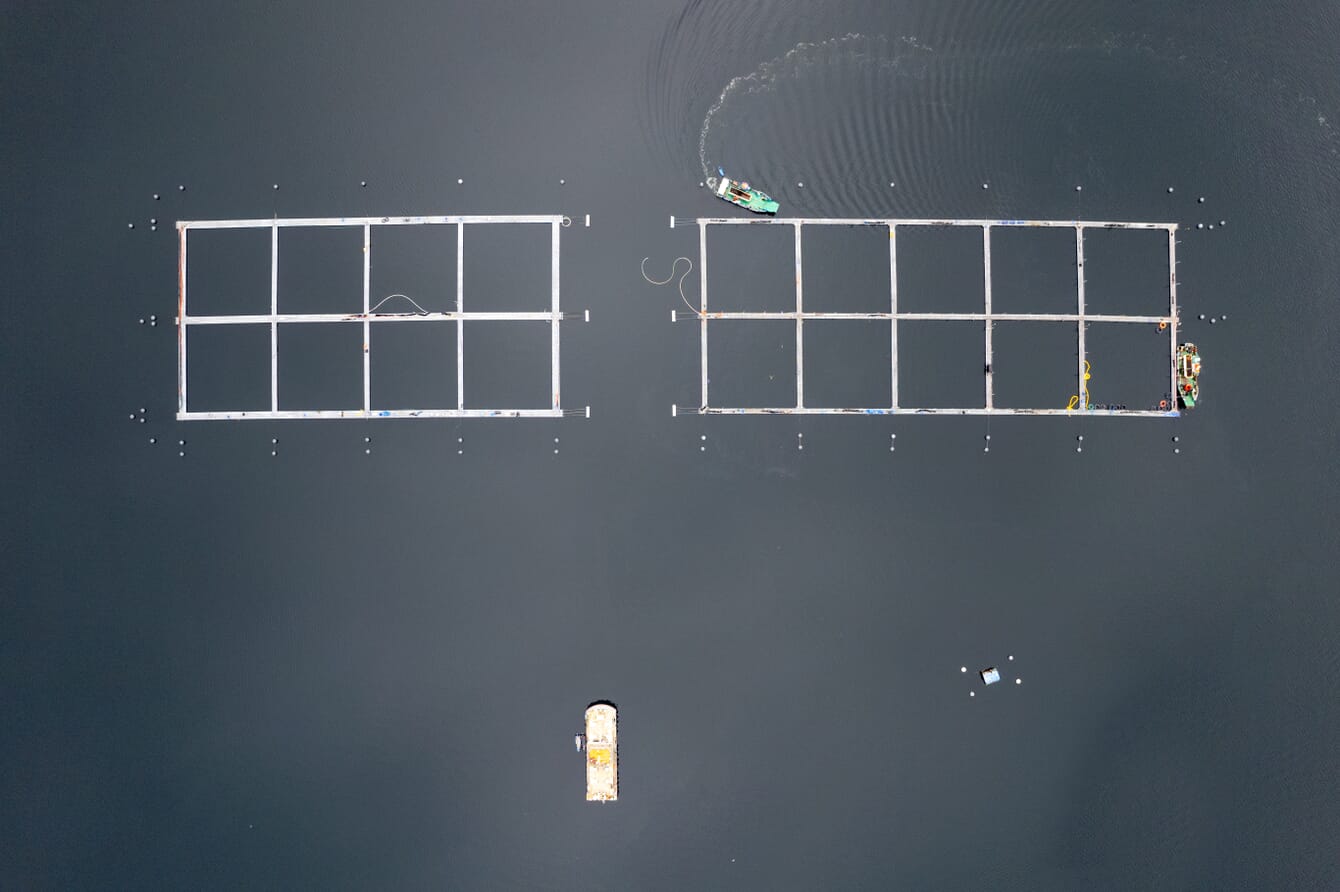 An aerial shot of aquaculture cages in Chile.