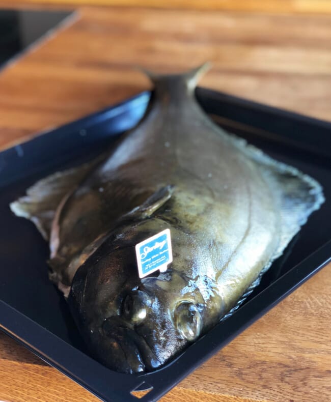 a halibut on a plate