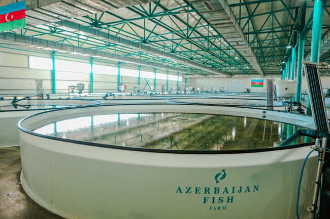 An indoor fish farm