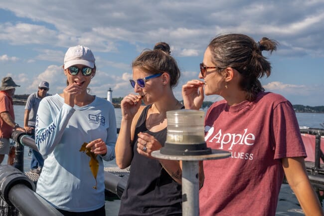 three people eating seaweed