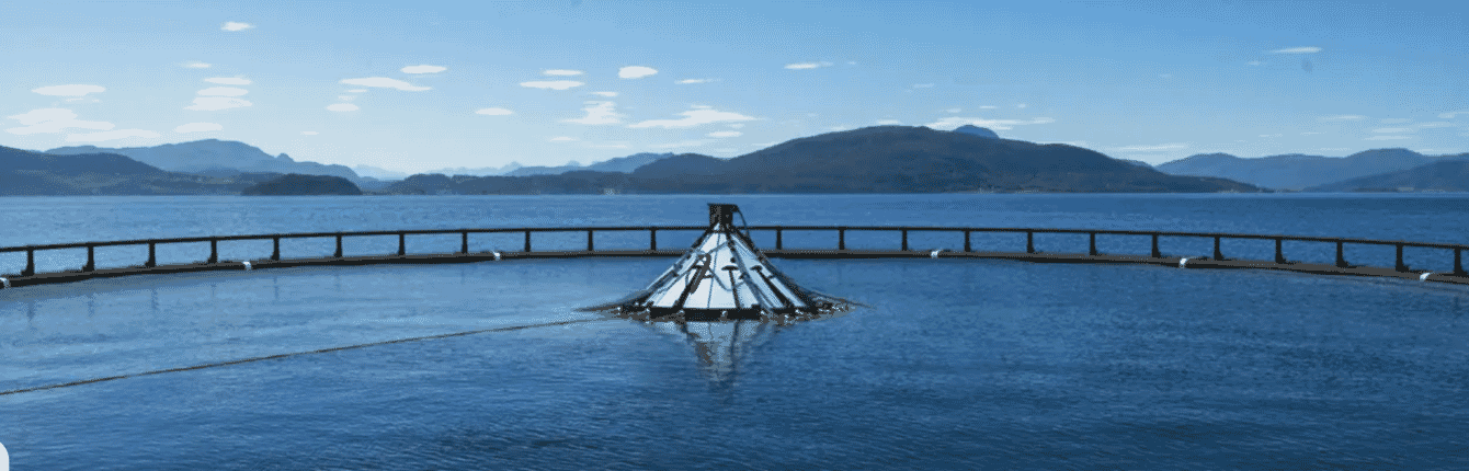 A fish pen.