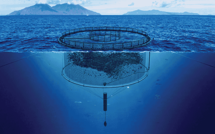 submersible aquaculture pen