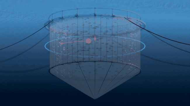 computer drawing of an aquaculture net pen in the water column