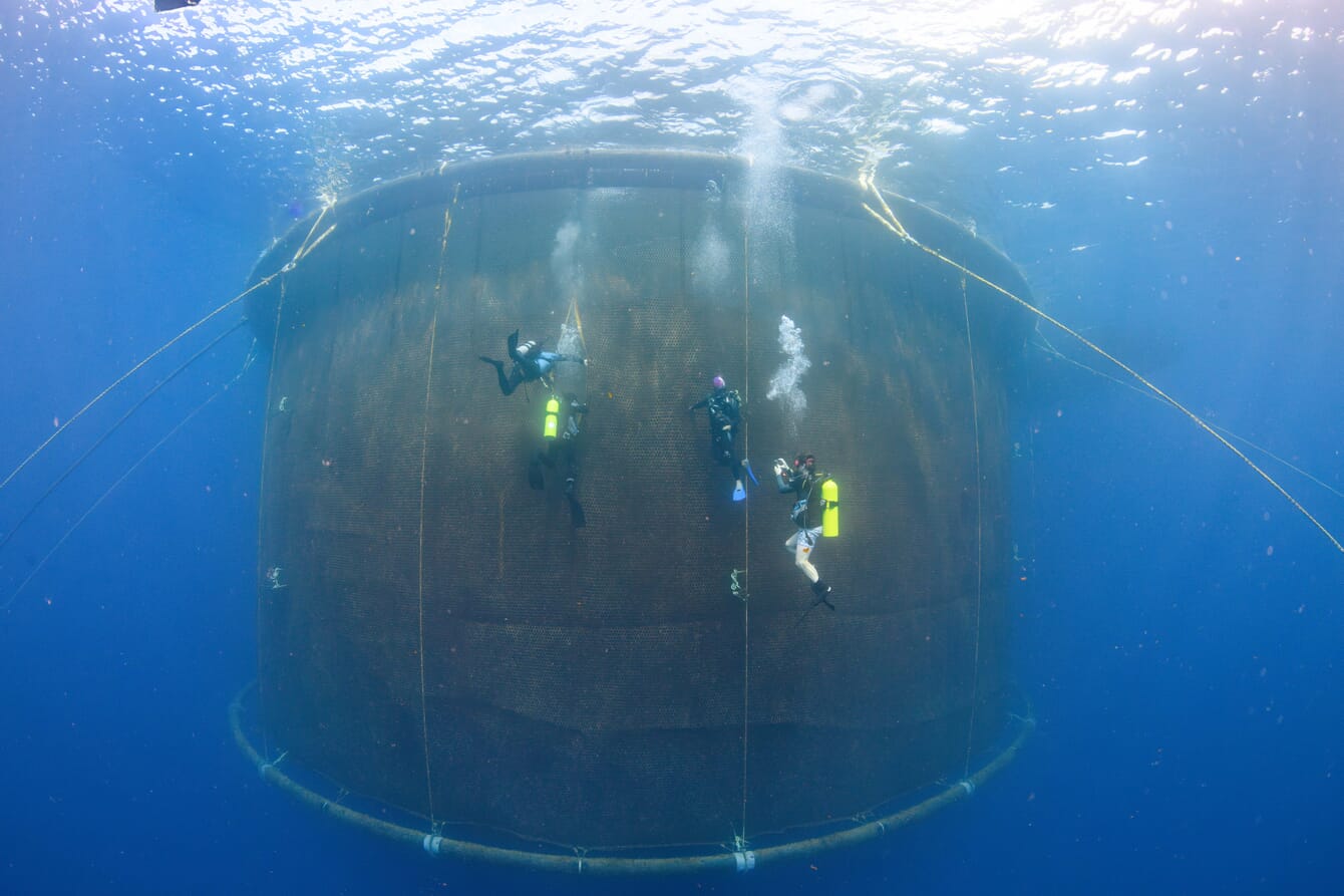 A underwater photo of a underwater cage.
