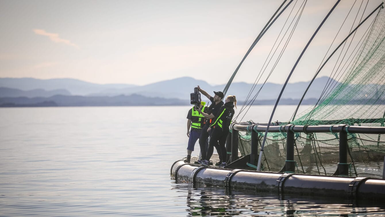 Three people standing on the side of a sea pen