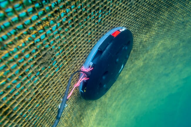 underwater drone cleaning an aquaculture net