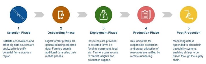 SeaWarden's model for accelerating sustainable shrimp production practices