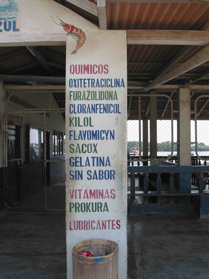 It is not unusual to see a range of antibiotics for sale over the counter in key shrimp farming locations such as this in Machala, Ecuador