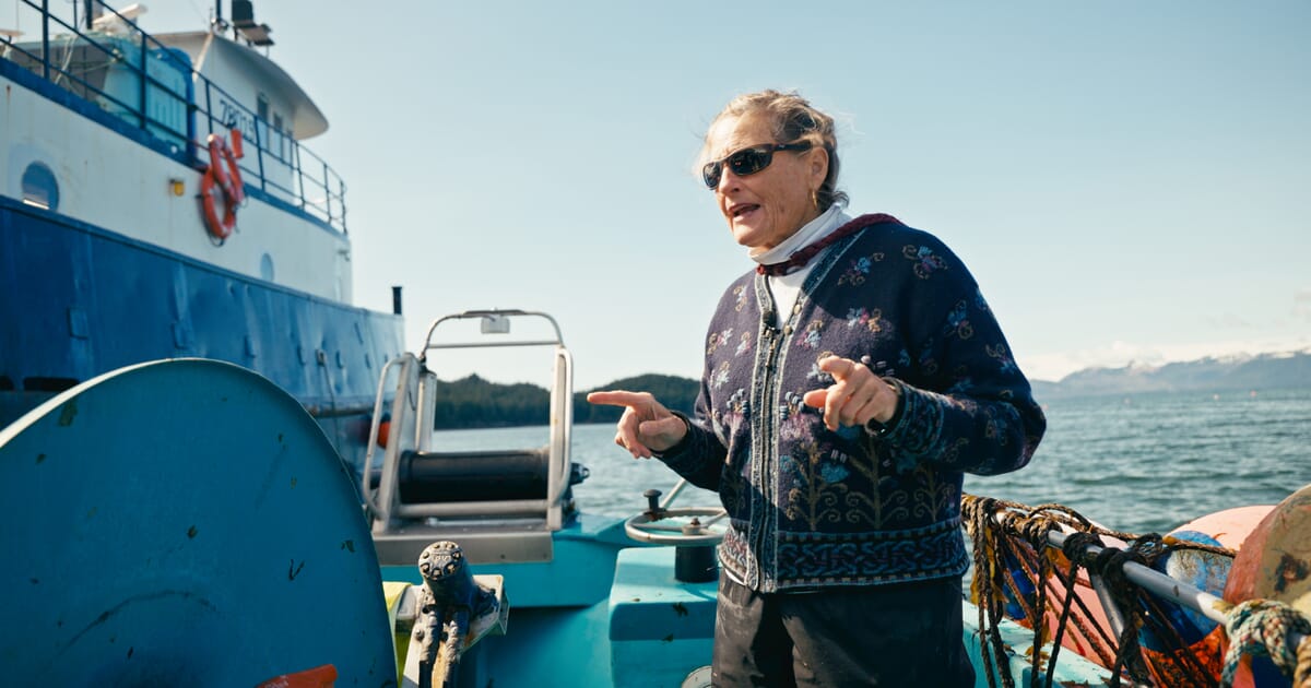 A regal seaweed company in Prince William Sound