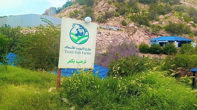 A sign for the farm.