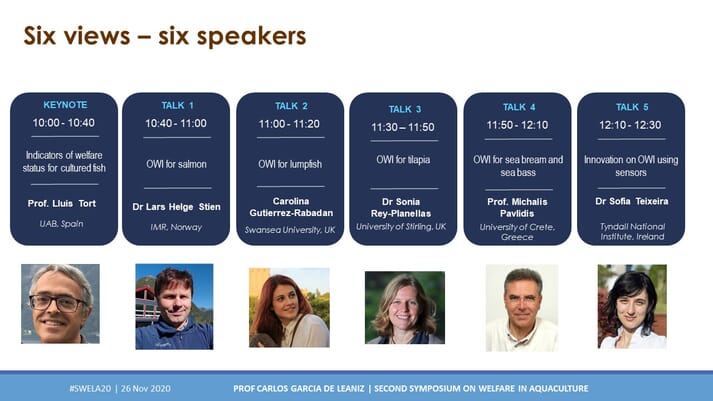 The six talks are now available online