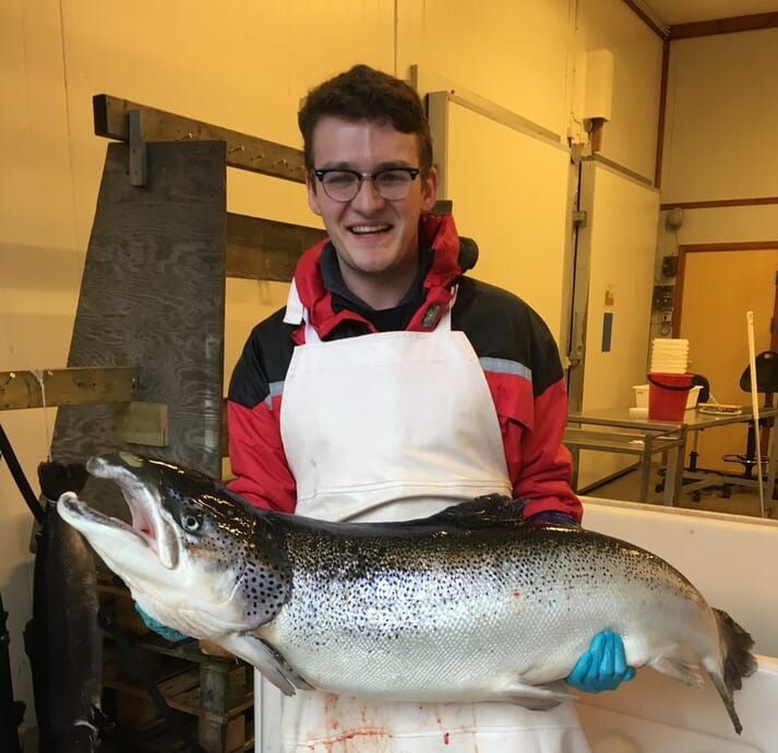 William Perry with a mature 4 year old adult male salmon at IMR in Bergen