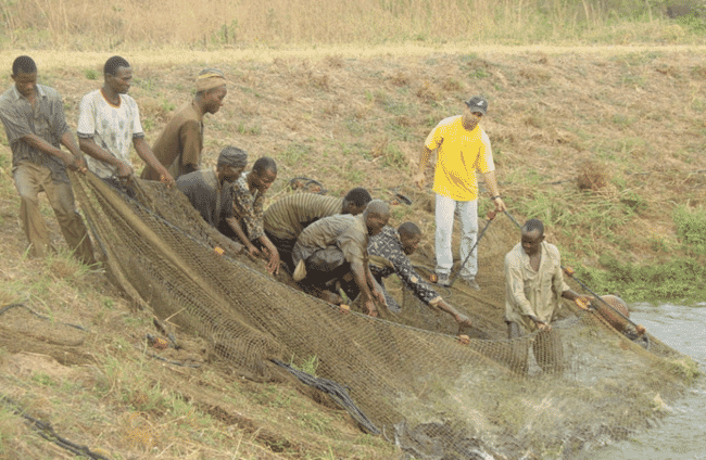 men hauling in a net