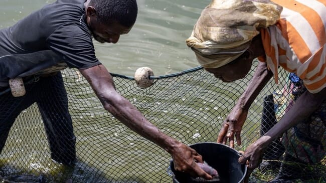 two people with a net